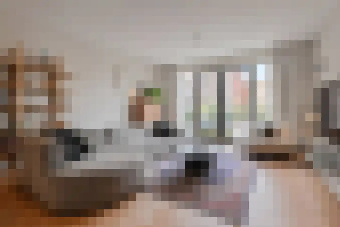 Molenpad 7 Leidschendam thumbnail 15