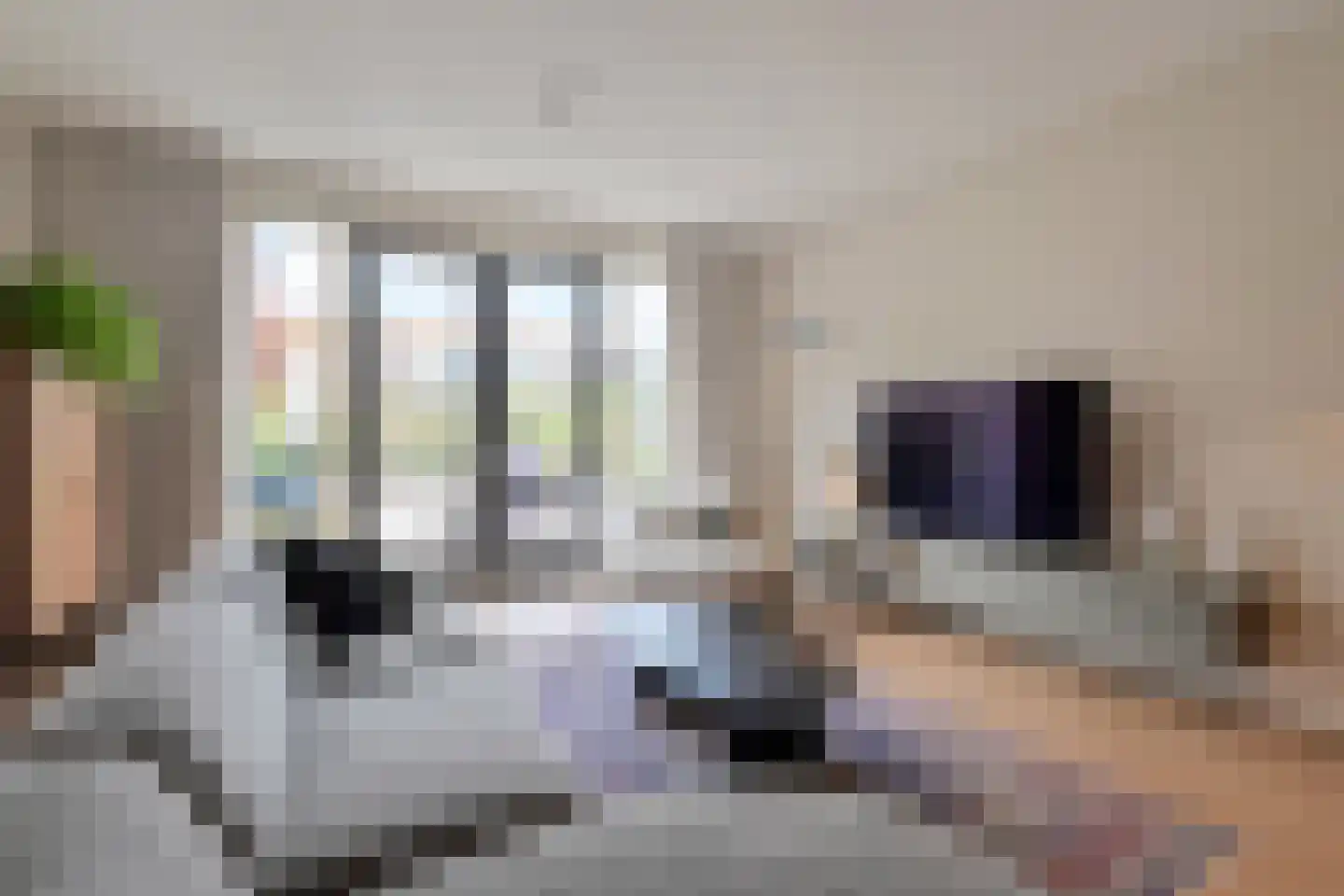Molenpad 7 Leidschendam thumbnail 16