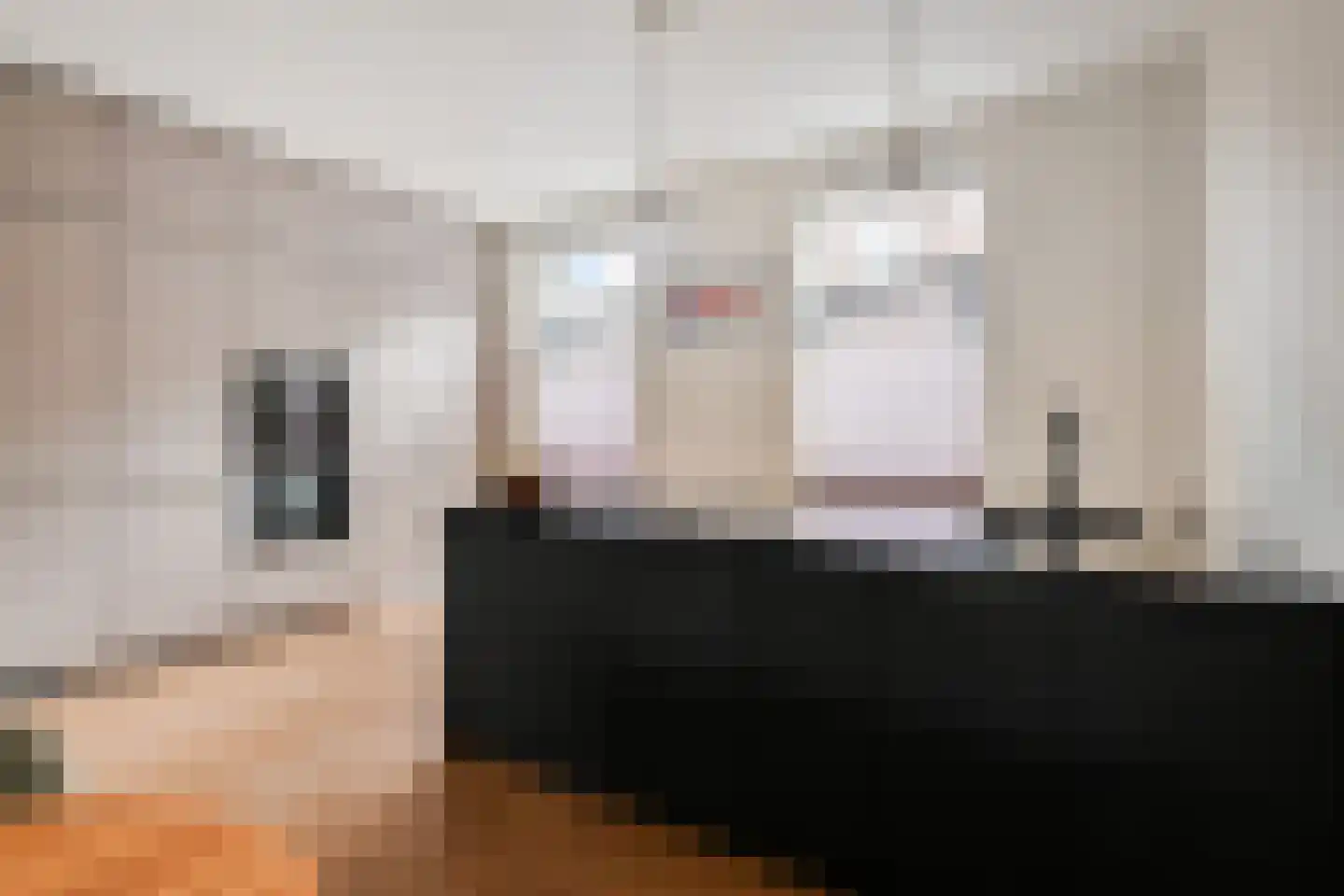 Molenpad 7 Leidschendam thumbnail 26