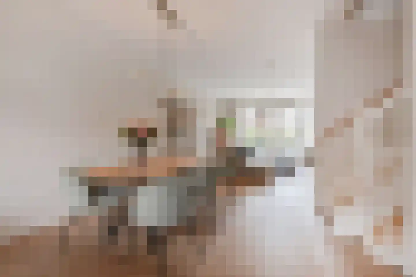 Molenpad 7 Leidschendam thumbnail 31