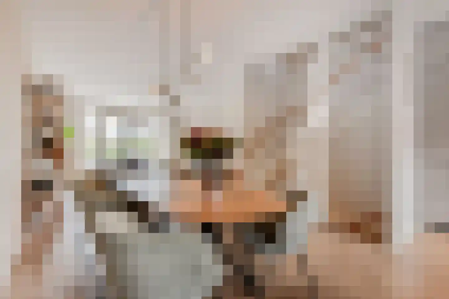 Molenpad 7 Leidschendam thumbnail 32