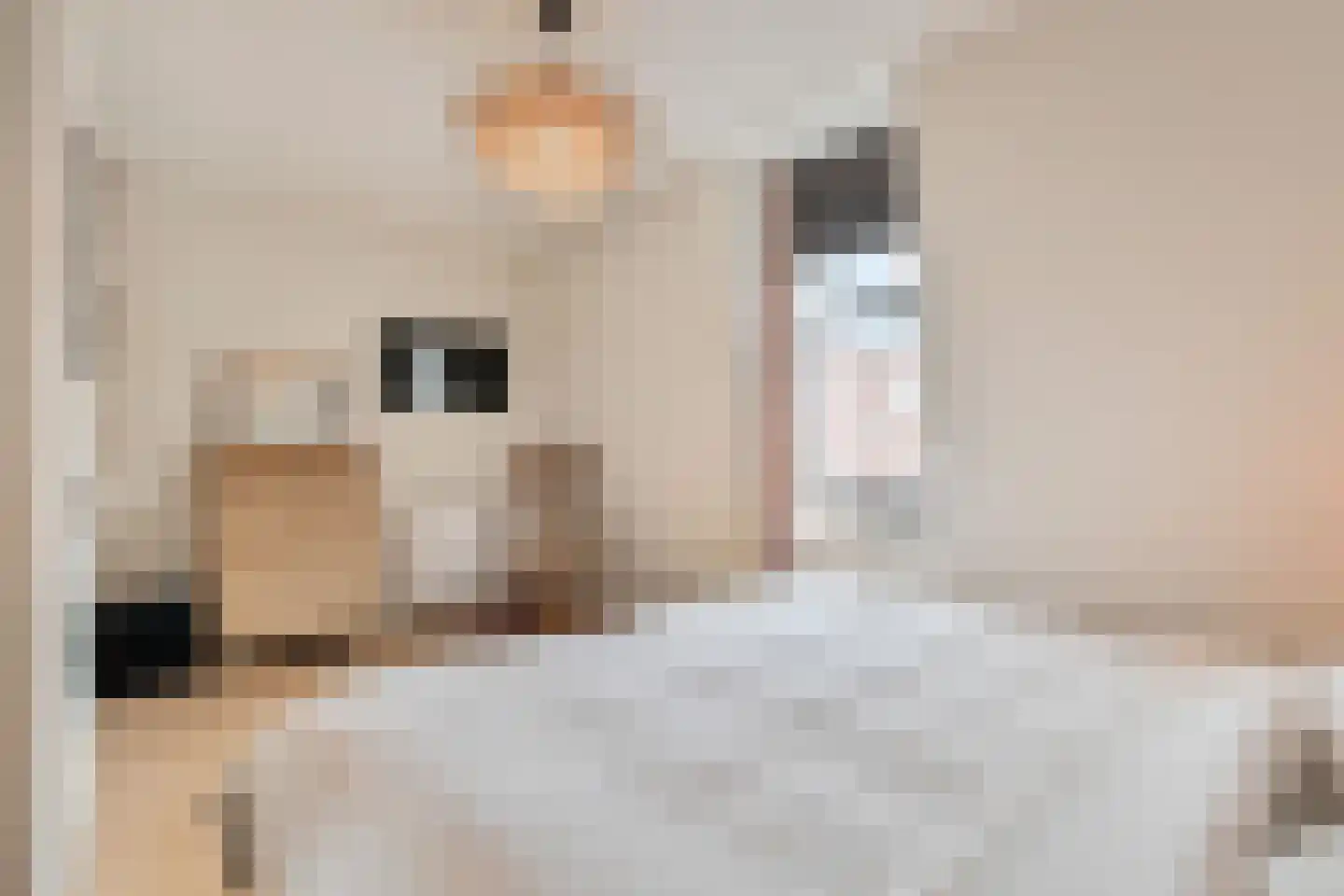 Molenpad 7 Leidschendam thumbnail 37
