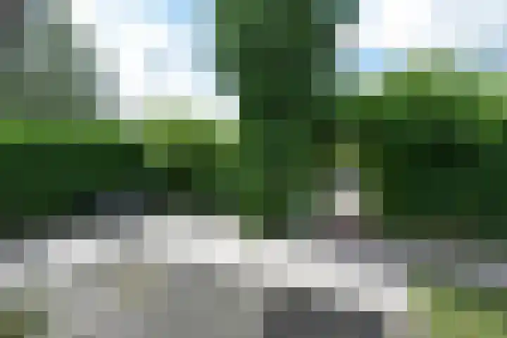 Molenpad 7 Nieuwkoop thumbnail 19