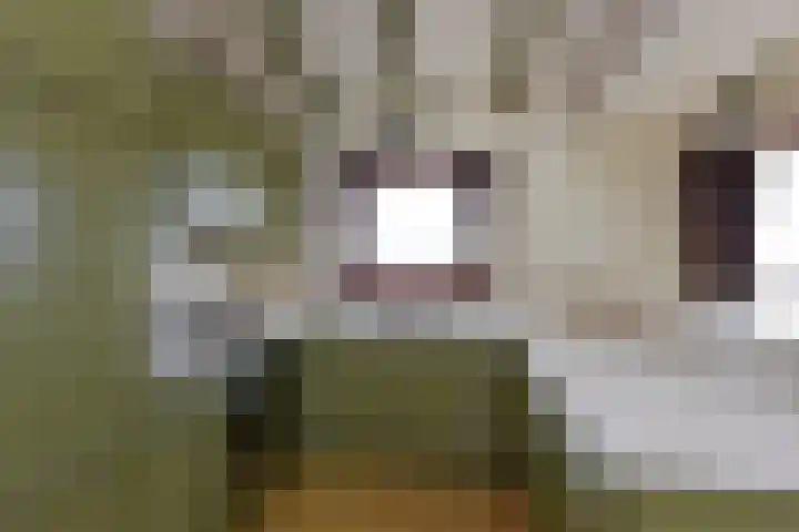 Molenpad 7 Nieuwkoop thumbnail 4