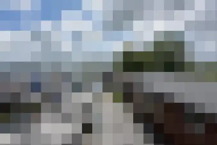 Molenpad 7 Nieuwkoop thumbnail 5