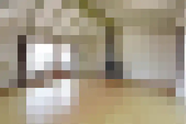 Molenpad 7 Nieuwkoop thumbnail 7