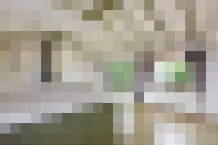 Molenpad 7 Nieuwkoop thumbnail 9