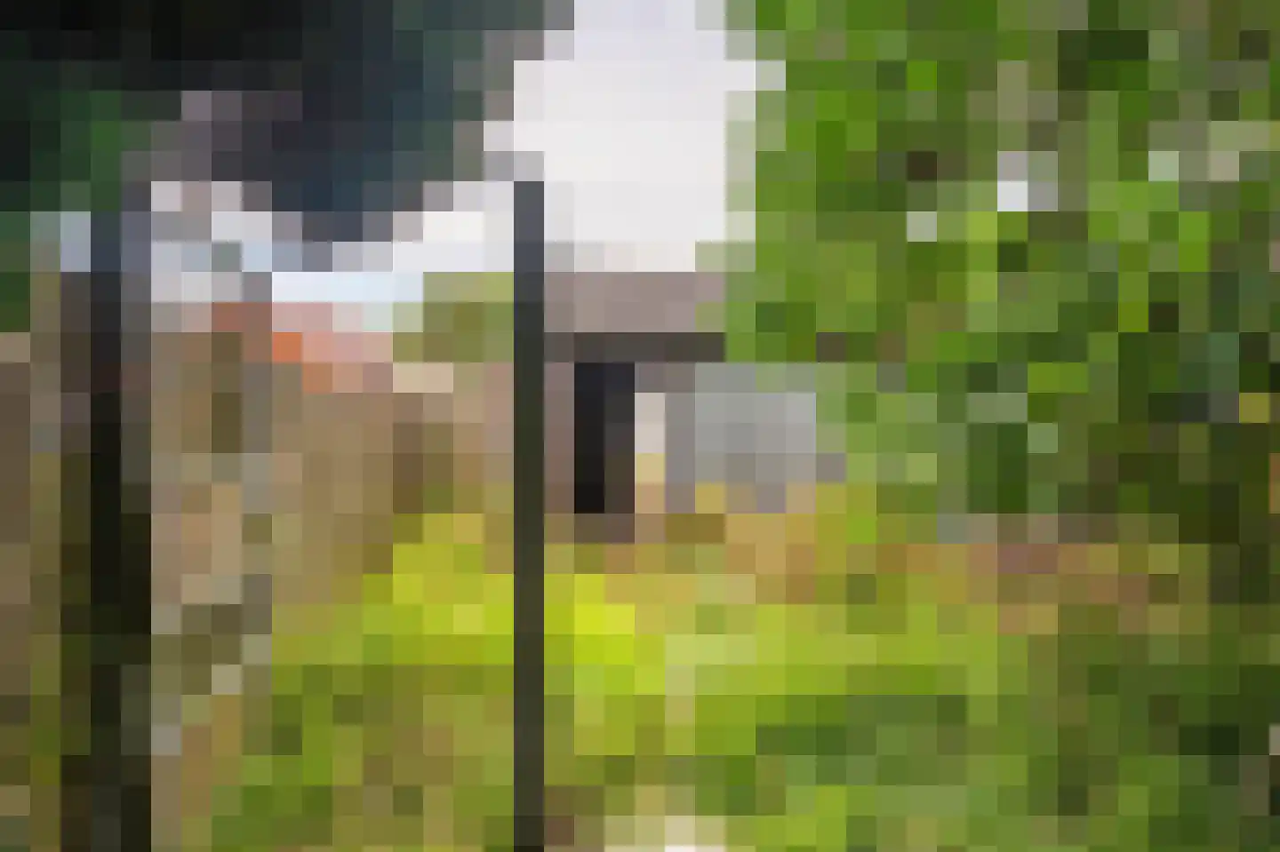 Molenpad 7 Scheemda thumbnail 23