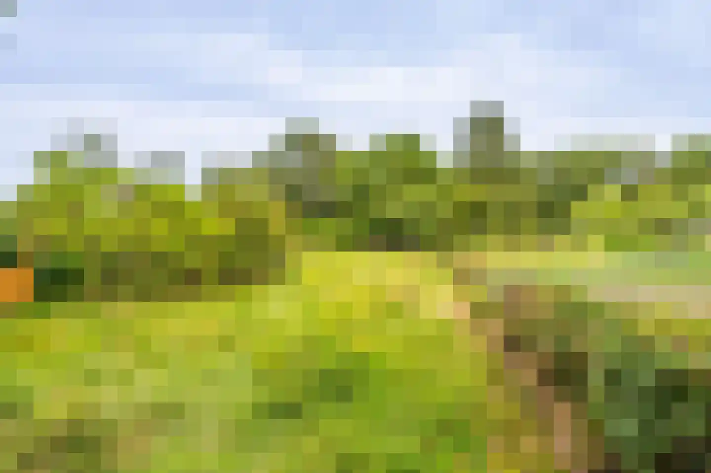 Molenpad 7 Scheemda thumbnail 24
