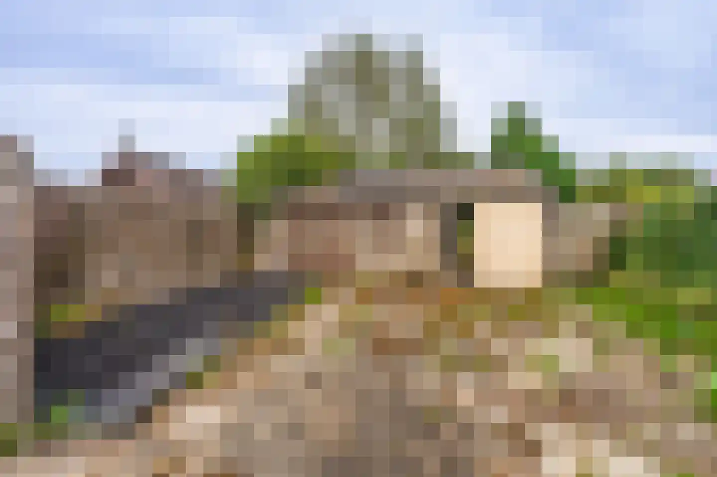 Molenpad 7 Scheemda thumbnail 4