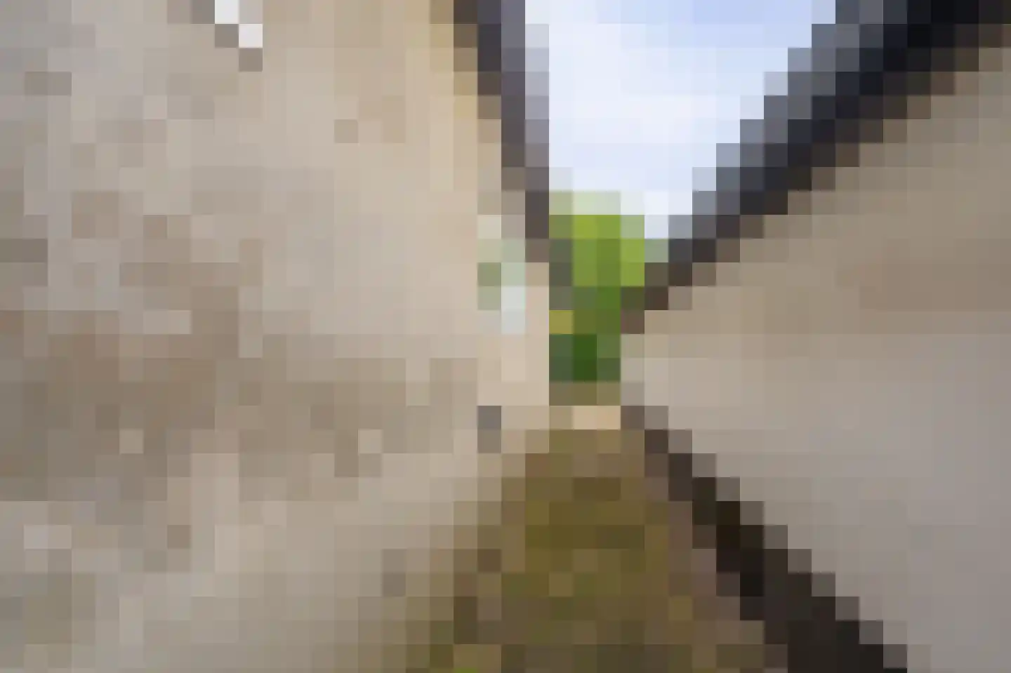 Molenpad 7 Scheemda thumbnail 5