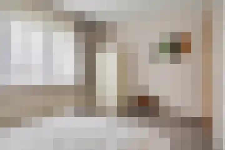 Molenpad 9 't Zand thumbnail 25
