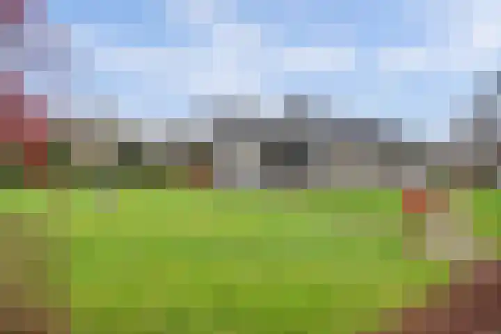 Molenpad 9 't Zand foto 3