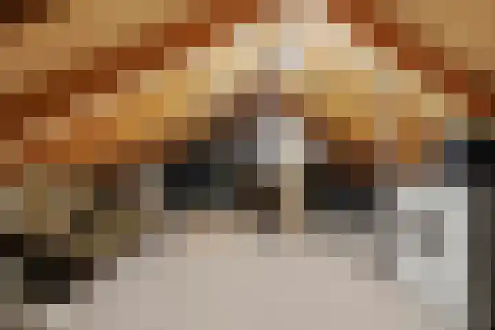 Molenpad 9 't Zand thumbnail 30