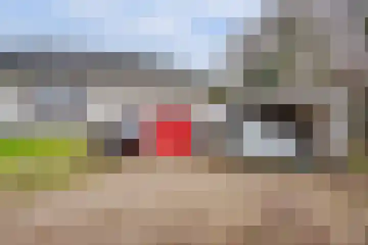 Molenpad 9 't Zand thumbnail 33