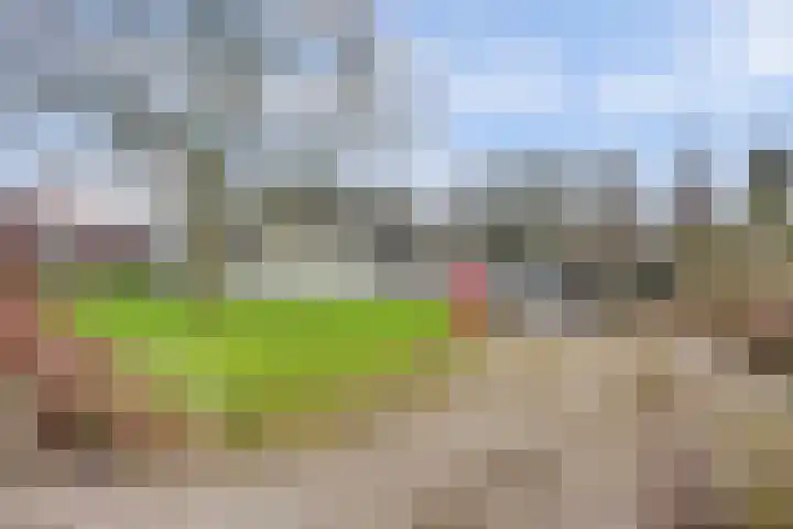 Molenpad 9 't Zand thumbnail 34