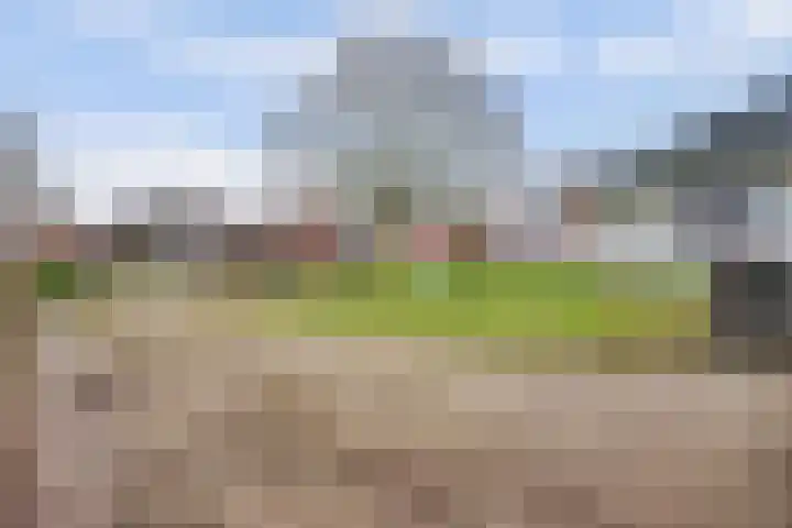 Molenpad 9 't Zand thumbnail 35
