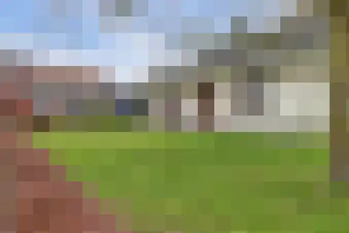 Molenpad 9 't Zand thumbnail 36