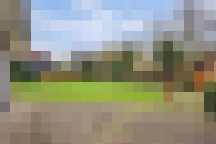 Molenpad 9 't Zand thumbnail 37