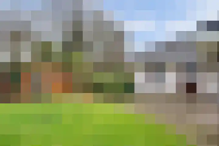 Molenpad 9 't Zand thumbnail 38