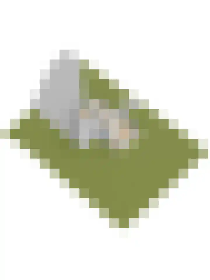Molenpad 9 't Zand thumbnail 46