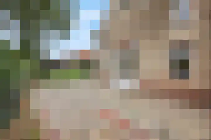 Molenpark 1 Voorthuizen thumbnail 12