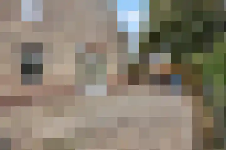 Molenpark 1 Voorthuizen thumbnail 13