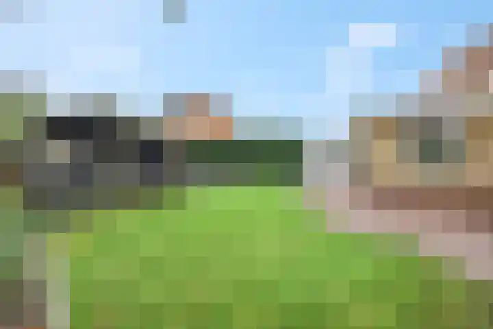 Molenpark 1 Voorthuizen thumbnail 14