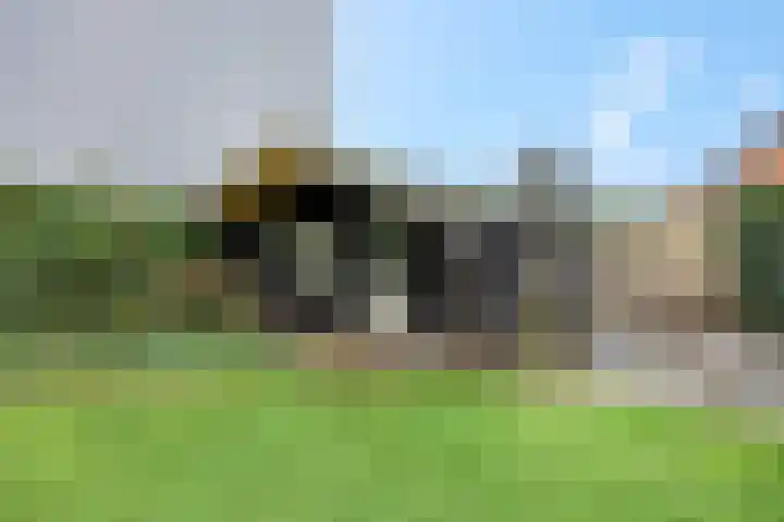 Molenpark 1 Voorthuizen thumbnail 15