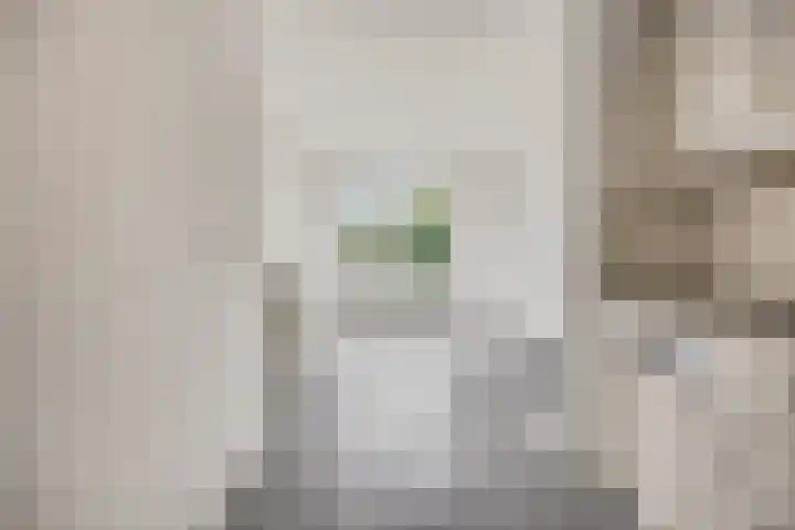 Molenpark 1 Voorthuizen thumbnail 27