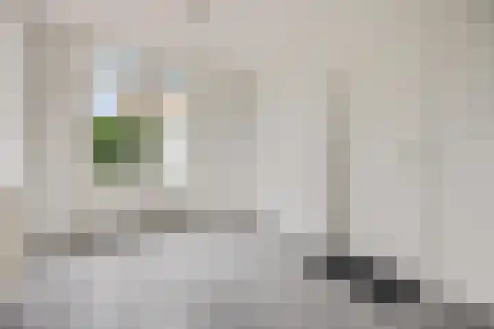 Molenpark 1 Voorthuizen thumbnail 30