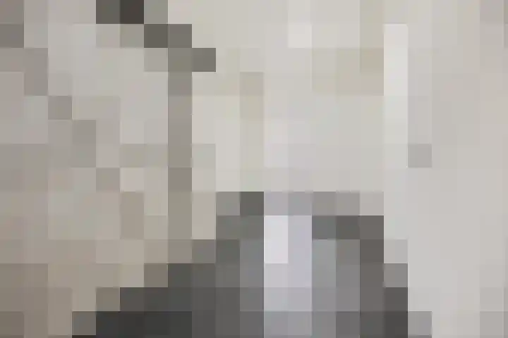 Molenpark 1 Voorthuizen thumbnail 32