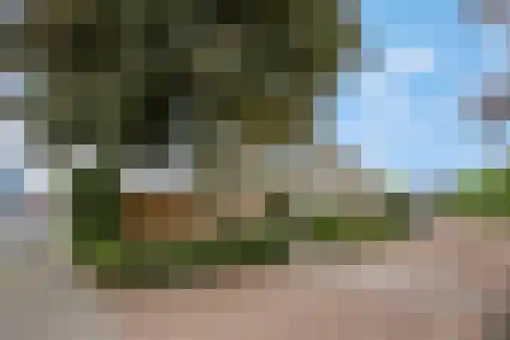 Molenpark 1 Voorthuizen thumbnail 7