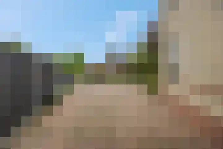 Molenpark 1 Voorthuizen thumbnail 8