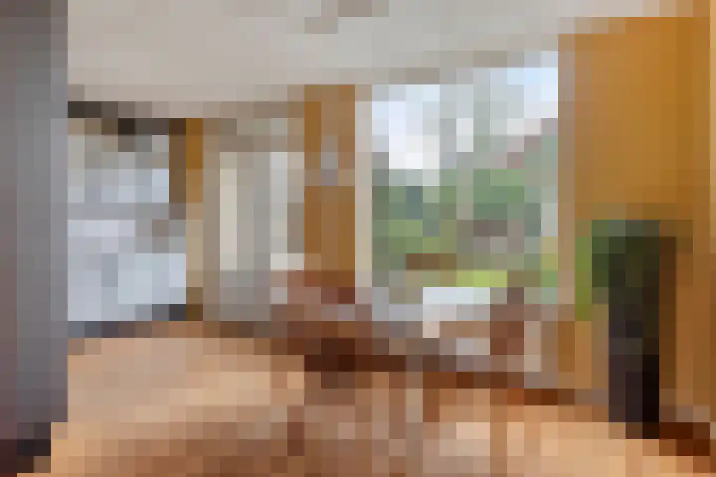 Molenpark 31 Voorthuizen thumbnail 10