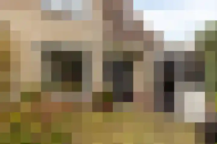 Molenpark 31 Voorthuizen thumbnail 27
