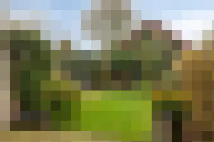 Molenpark 31 Voorthuizen thumbnail 28