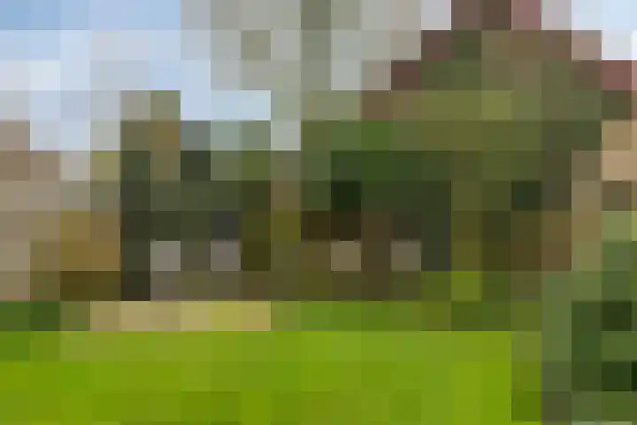 Molenpark 31 Voorthuizen thumbnail 29