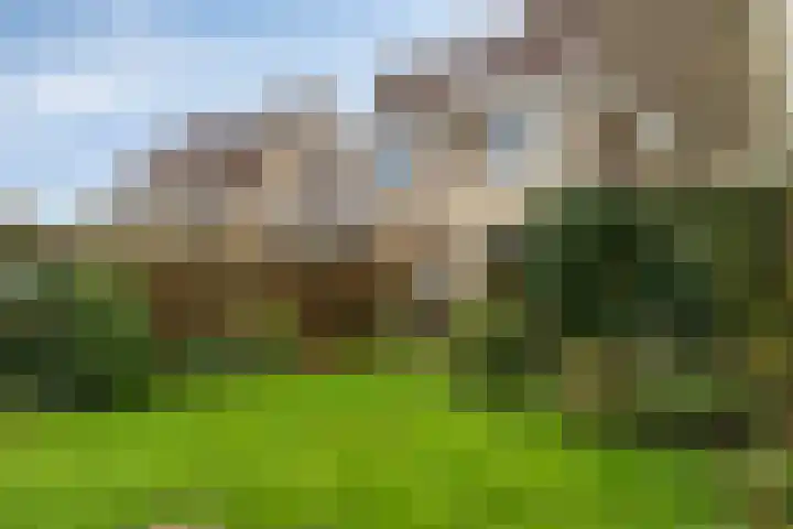 Molenpark 31 Voorthuizen thumbnail 31