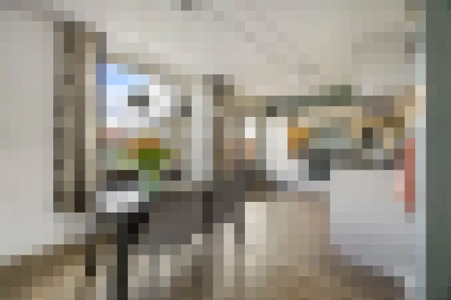 Molenpark 39 Voorthuizen thumbnail 11