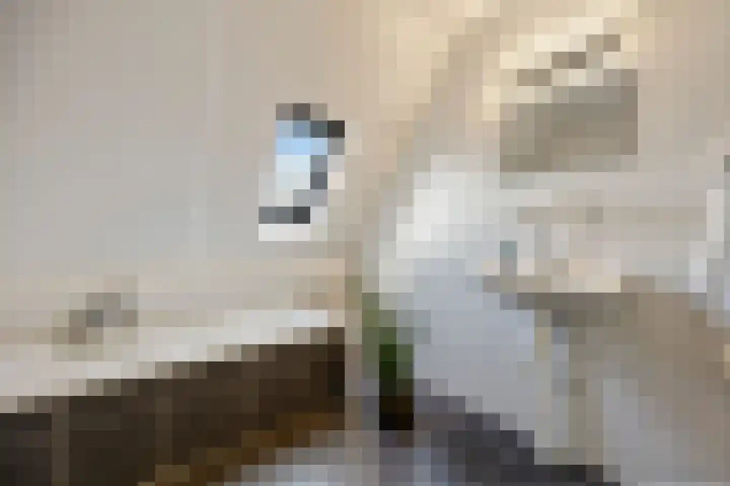 Molenpark 39 Voorthuizen thumbnail 23