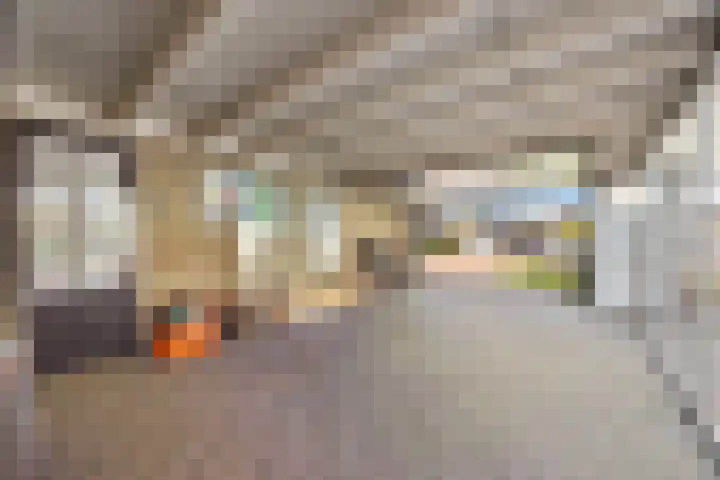 Molenpark 39 Voorthuizen thumbnail 31