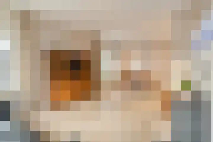 Molenparkweg 25 Lunteren thumbnail 4