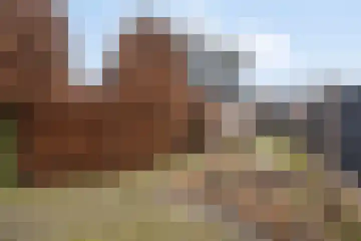 Molenparkweg 25 Lunteren thumbnail 43