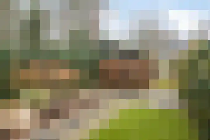 Molenparkweg 25 Lunteren thumbnail 50