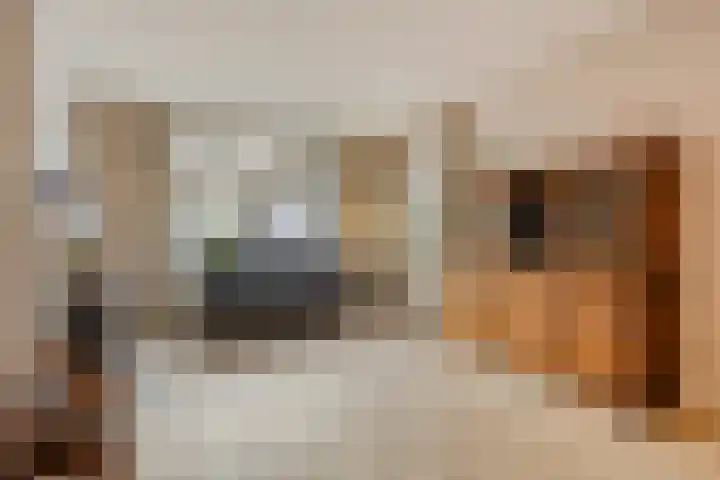 Molenparkweg 25 Lunteren thumbnail 7