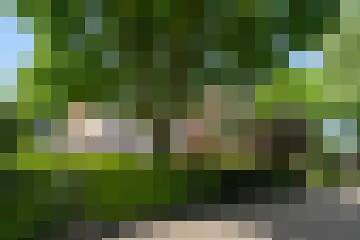 Molenparkweg Oost 8 Lunteren thumbnail 36