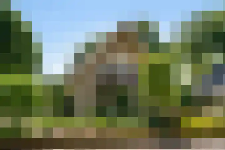 Molenparkweg Oost 8 Lunteren thumbnail 37