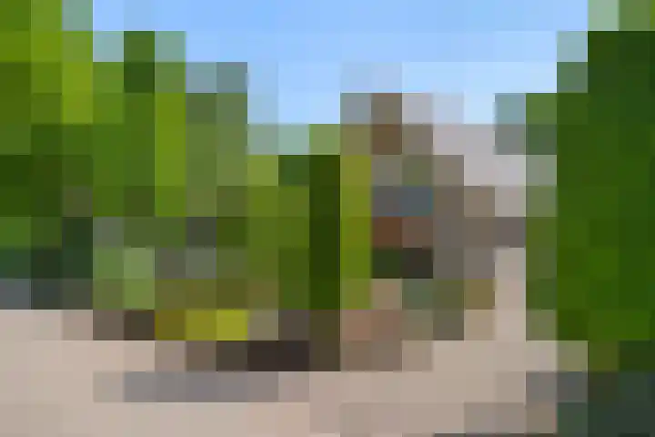 Molenparkweg Oost 8 Lunteren thumbnail 38