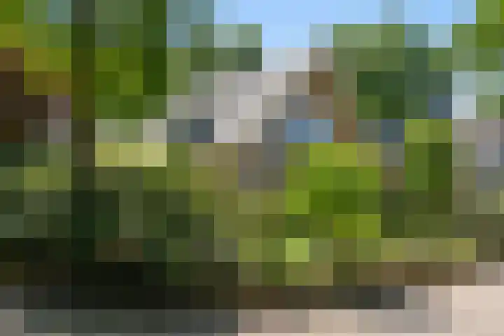 Molenparkweg Oost 8 Lunteren thumbnail 51